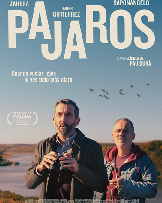 PÁJAROS (2023) – Tráiler Español [HD][Castellano 2.0]